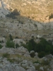 Velebit11.jpg