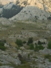 Velebit19.jpg