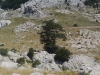 Velebit25.jpg
