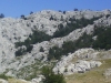Velebit29.jpg