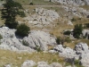 Velebit33.jpg